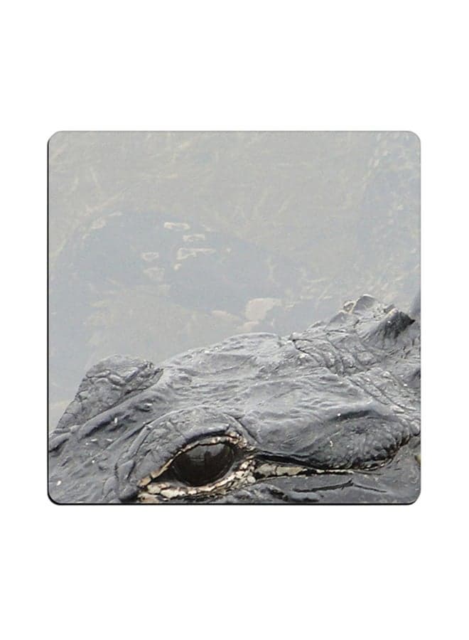 Brandon Reid Hooper Alligator Printed Coaster Grey