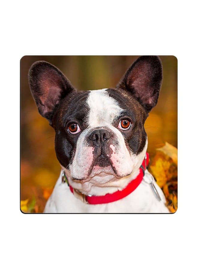 Dog Printed Coaster Multicolour 9x9cm