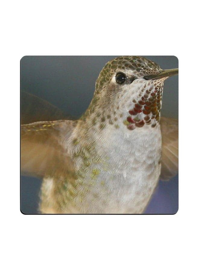 Humming Bird Printed Coaster Multicolour 9x9cm