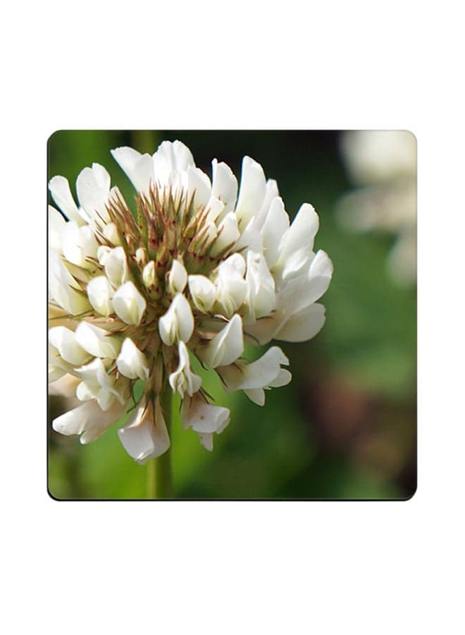 Flower Printed Coaster White/Green 9x9cm
