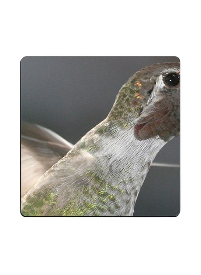 Humming Bird Printed Coaster Multicolour 9x9cm