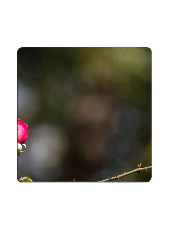 Printed Coaster Multicolour 9x9cm