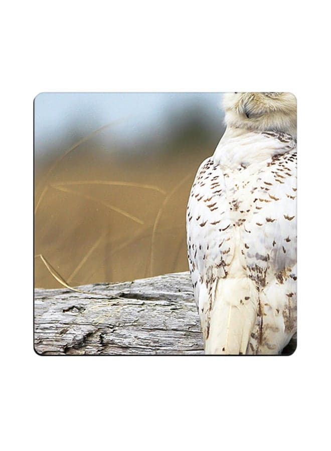 Snowy Owl Printed Coaster White/Beige 9x9cm