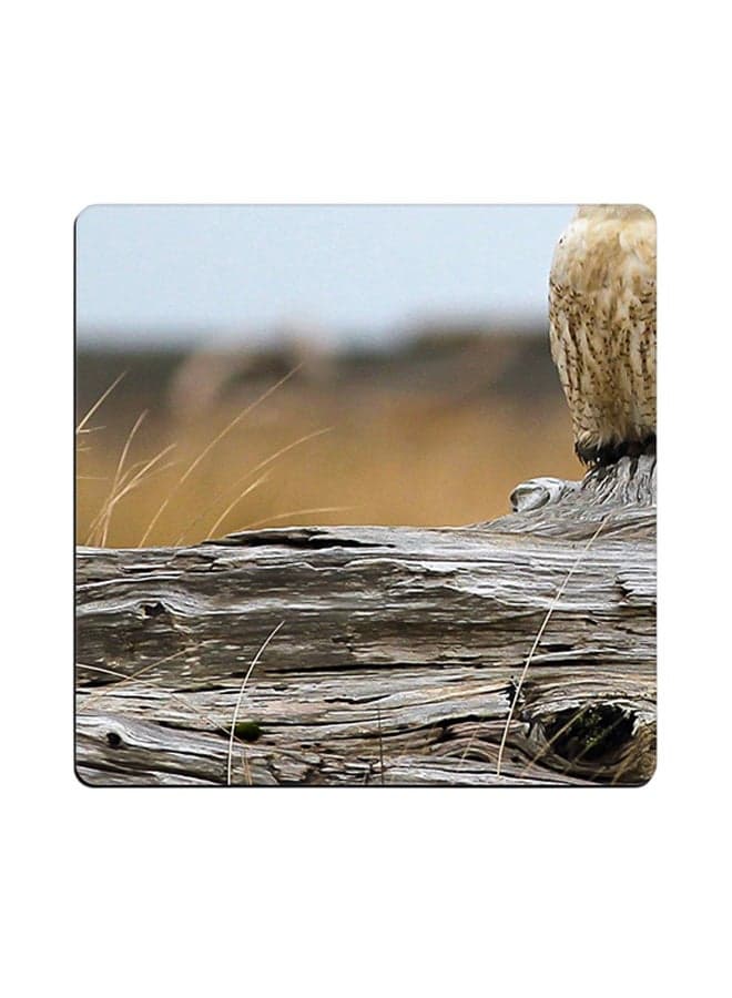 Snowy Owl Printed Coaster Multicolour 9x9cm