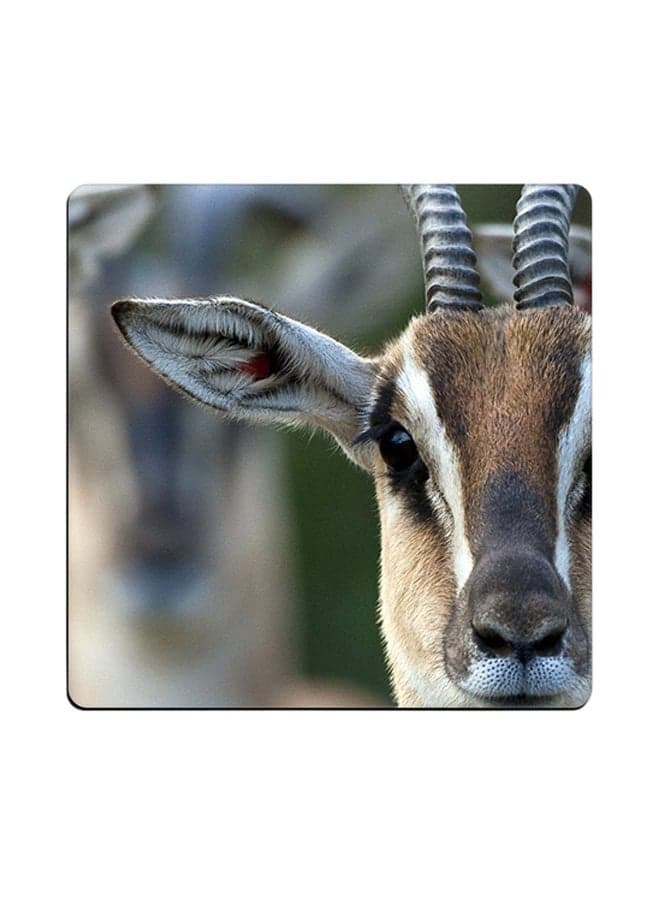 Animal Printed Coaster Brown 9x9cm