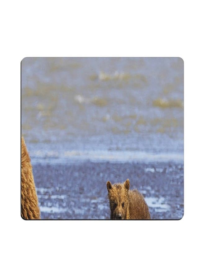 Animal Printed Coaster Multicolour 9x9cm