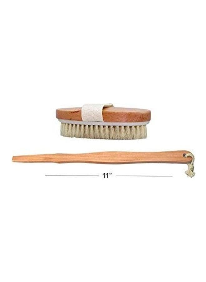 Dry Skin Body Brush Brown Body Scrubs & Exfoliators (٤)