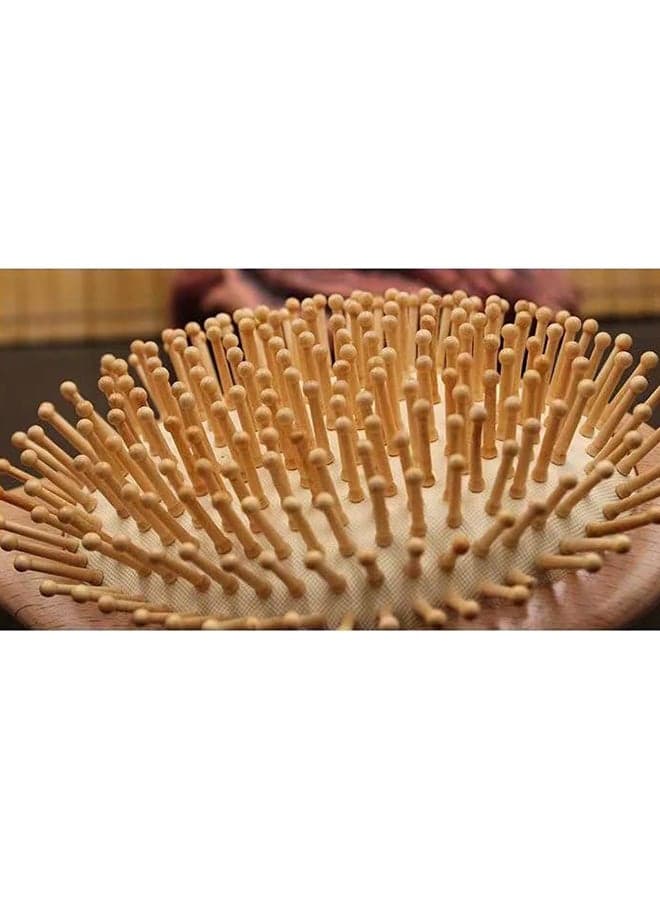 Oval Shape Hair Brush Beige (٣)