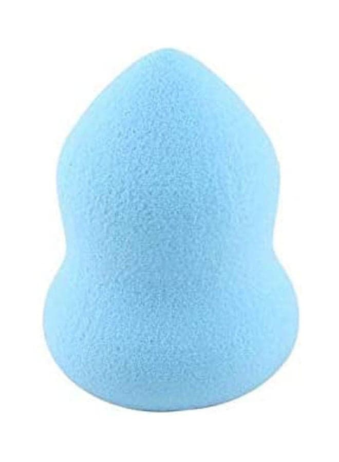 Bottle Gourd Sponge  Pro Beauty Blender Makeup Blue