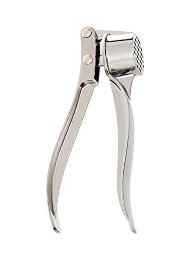 Stainless Steel Garlic Presser With Handle Silver Graters