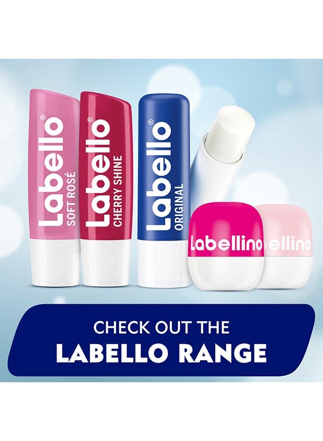 Lip Care, Moisturizing Lip Balm, Original with Shea Butter, 4.8grams (٦)