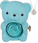 Generic Romantic Teddy Bear Jewellery Box with Crystal Globe, Rotating Design, Gift Set (mint green) Jewelry storage