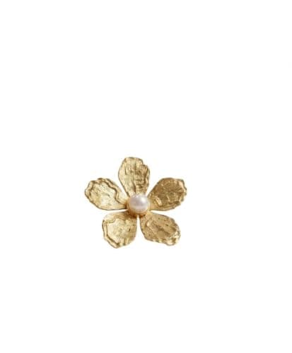 Stainless Steel Rose Design Earrings Elegant Floral Jewelry for Women