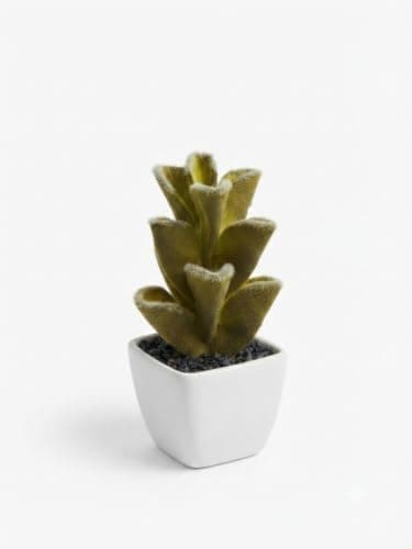 Artificial Succulent Plant Decorative in White Ceramic Pot | Realistic design, no watering or maintenance, for home and office, suitable for table and shelves, indoor decoration