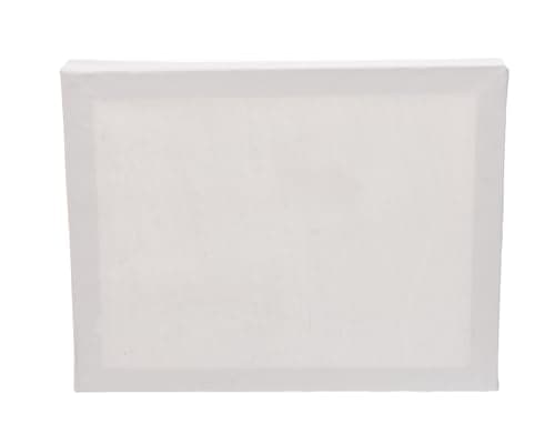 MO-TOOLS High Quality Canvas 25 * 20cm For Professional Artists And Beginners - White Reinforced art surface