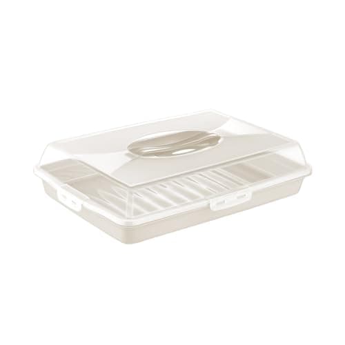 Dunya Party Butler Rectangular 40 Cm - Multicolor Food storage container