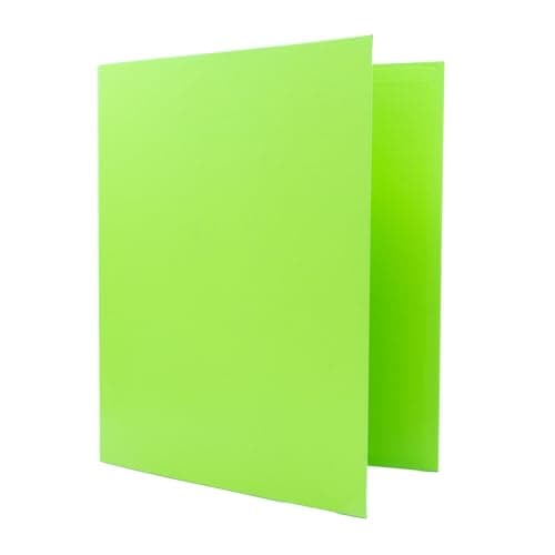 RAYLU PAPER - 4 Ring Binder A4, Light Green Storage binder