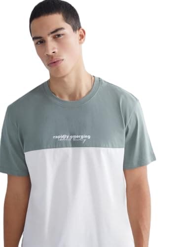 LC WAIKIKI Men's Color Block Jersey T-shirt with Crew Neck