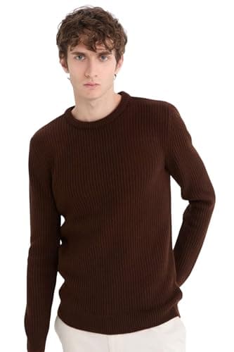 DeFacto Mens Casual Standart Fit Crew Neck Long Sleeve Tricot Pullover C8814AX Pullover (pack of 1)