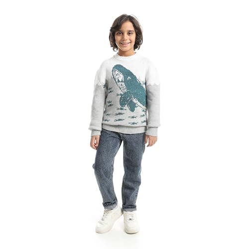 CAESAR - سيزر Boys Boys' Dolphin Design Wool pullover Boys' Dolphin Design Wool pullover