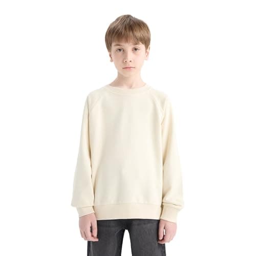 DeFacto Boys Casual Regular Fit Crew Neck Long Sleeve Knitted Sweat Shirt E8415A8 Sweat Shirt (pack of 1) Sweatshirt