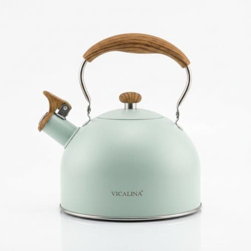 2.5L Stainless Steel Whistling Kettle with Wooden Handle, Stovetop Water Kettle for Boiling Hot Water. (Mint Green)