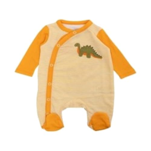 lovely land Baby Boys Baby's Striped Orange Bodysuit with a Dinosaur Drawing Shapewear Bodysuit (pack of 1)
