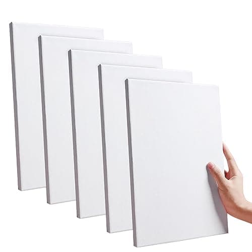 Salome Idea 20x30CM (8x12 Inch) Artist Rectangle Stretched Canvas, Middle Size Pre-Stretched Cotton Canvas Panel Boards 5-Pack, White Reinforced art surface