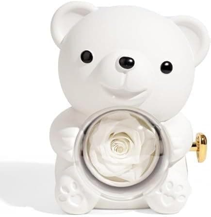 Generic Romantic Teddy Bear Jewellery Box with Crystal Globe, Rotating Design, Gift Set (white) Jewelry storage