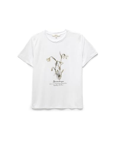 KOTON Womens TSHIRT SS JERSEY (pack of 1)