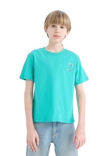 DeFacto Boys Casual New Regular Fit Crew Neck Short Sleeve Knitted Short Sleeve T-Shirt Short (pack of 1)