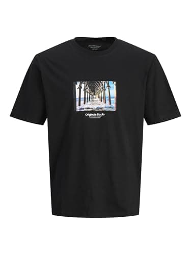 JACK & JONES Mens JORVESTERBRO PICTURE TEE SS CREW NECK SN Classic (pack of 1) Shirt