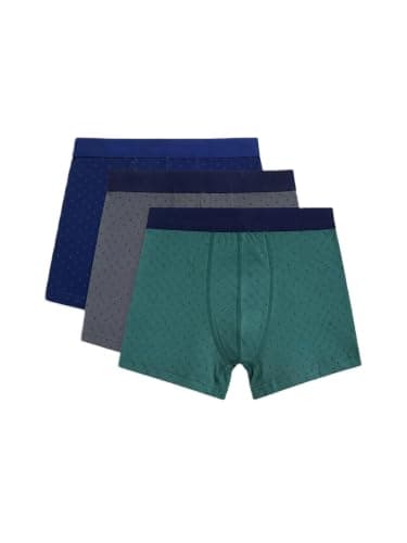 LC WAIKIKI Regular Fit Men's 3-Piece Boxer Underpants