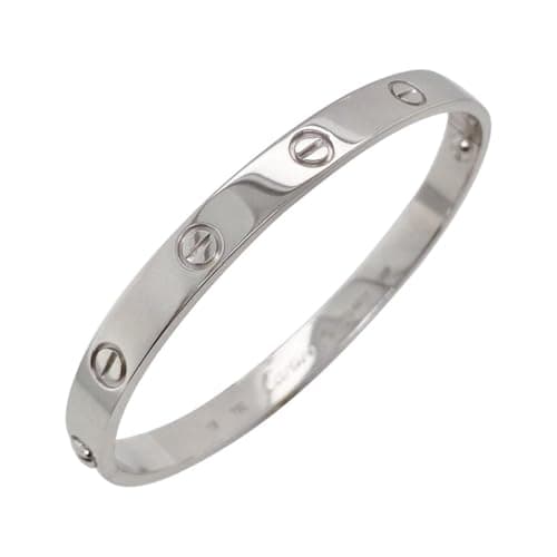 Julia Store 18K White Plated Stainless Steel Friendship Bracelets Bangle Trendy Luxury Celebrity Stainless Steel Bracelet Jewelry Love Valentines Christmas Gifts for Women