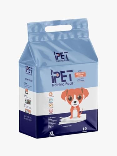 I Pet XL Training Pads with Adhesive Strips, Multi-layered Design, 60x90cm, 10 Pieces, Non-woven Fabric Disposable incontinence surface protector