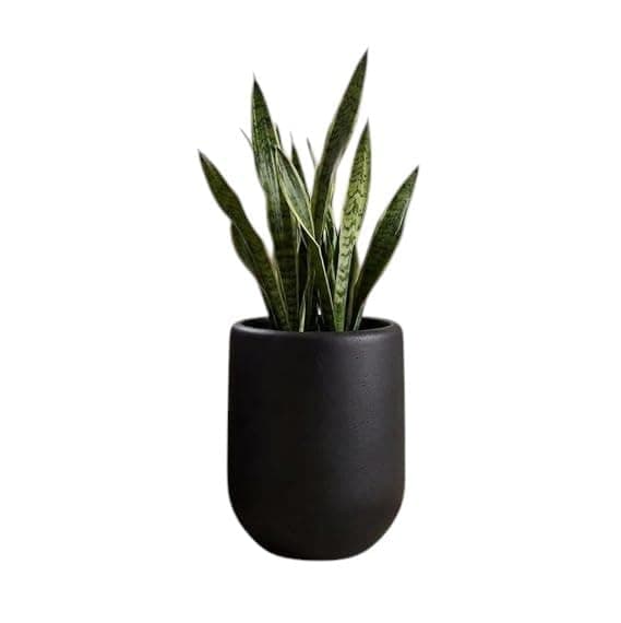 Indoor and Outdoor Home Pots Durable & Sturdy Construction, Perfect for Your Large Plants Prevent Discoloration and Cracking Caused by Sun Exposure Waterproof, Sun & Weatherproof, Fiber Planter