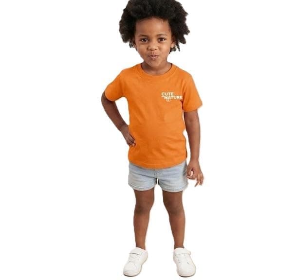Pebeo Boys Printed Short Sleeve T-Shirt with Modern Back Design Comfortable and Stylish Orange 12M