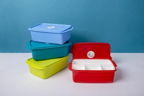 Divided Lunch Box 4 Compartments 1 Liter Food Container with Sauce Section and Airtight Lid for Daily Meal Prep and Portion Control 255x155x55mm Meal holder