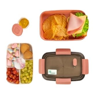 Lunch Box Meal Box – Airtight Lunch Box | Suitable for School, Work, Gym