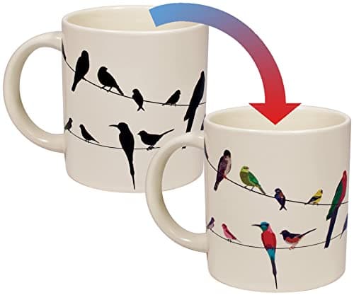 The Unemployed Philosophers Guild Birds on a Wire Heat Changing Mug - Add Coffee and Colorful Birds Appear, Comes in a Fun Box Drinking cup