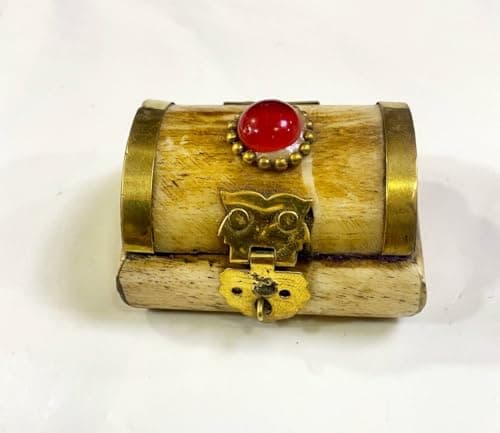 Indian Small Jewelry Box Natural Ivory Lined Velvet Ring Swimming Accessories Handmade Luxury Gift Oriental Style 5x4x3cm | By Generic Jewelry storage