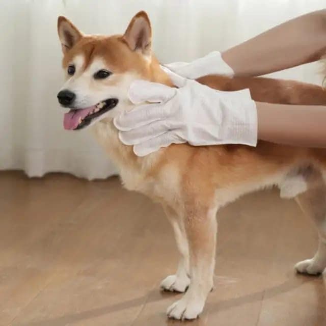 12 Pack Extra Thick Pet Bath Wipes Gloves for Dogs and Cats, Cleaning & Deodorizing Gloves, Daily Care & Travel Unscented Easy to Clean Ears, Eyes, Butt, Paws