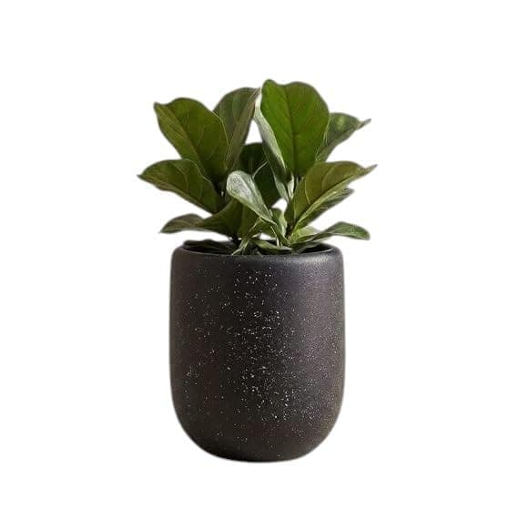 Indoor and Outdoor Home Pots Durable & Sturdy Construction, Perfect for Your Large Plants Prevent Discoloration and Cracking Caused by Sun Exposure Waterproof, Sun & Weatherproof, Fiber Planter