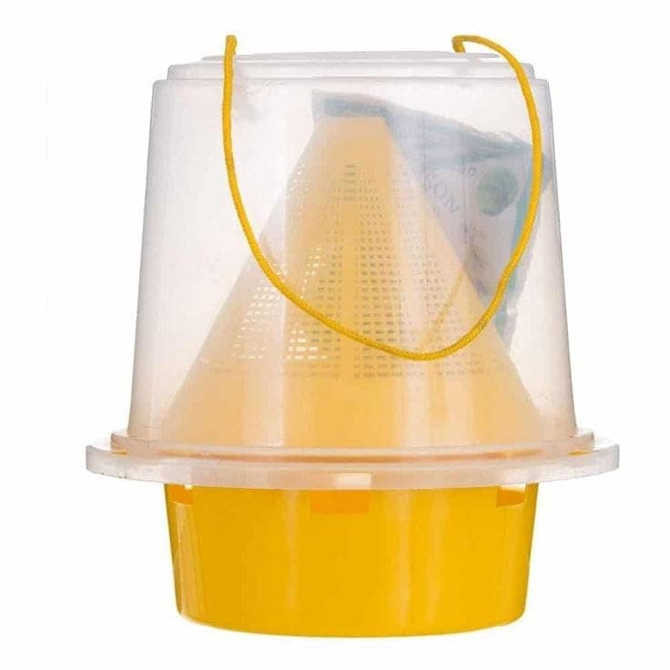 Clear Plastic Fly Trap | Easy to use, cone design