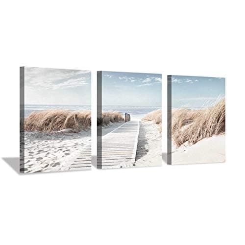Hardy Gallery Coastal Beach Canvas Wall Art: Pathway to Shoreline Artwork Painting on Canvas for Office or Bedroom (16'' x 12'' x 3 Panels)