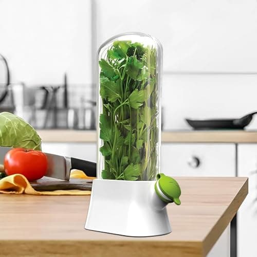 Large Refrigerator Herb Storage Box Jumbo Size – Keep Coriander Mint Parsley Dill and Leafy Greens Fresh Organized and Easy to Access