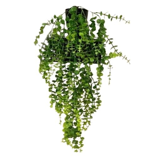 Artificial Rose Waterfall Decor - Artificial Flowers Arrangements for Home Office Indoor Decor (6070 W) Artificial plant
