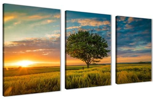 Skills Canvas Wall Art - Golden Wheat Field with Lonely Tree Under Colorful Sky at Sunset - Wall Hanging for Living Room, Bedroom, Office Decorations & More (30cm x 40cm x 3pcs)