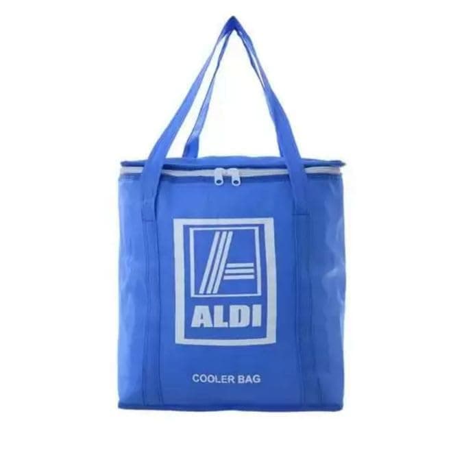 Insulated Thermal Lunch Bag with Durable Zipper & Sturdy Carry Handles - Portable Cooler and Warmer Bag for Picnic, Trip, Work, Streamlined Design, Space Saving Meal holder