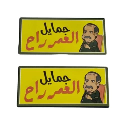 LOKYBOY 2 Pack Cartoon Cartoon Stickers Protector Sticker Pack of 2